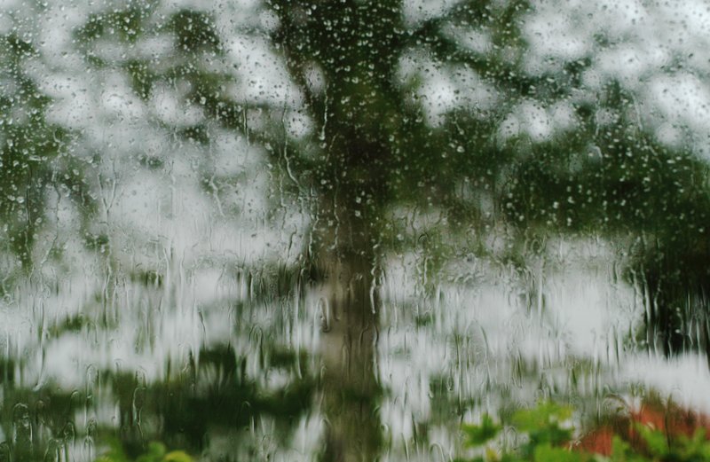 Regn Regn